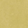 /products/3259-mustard-fresco/